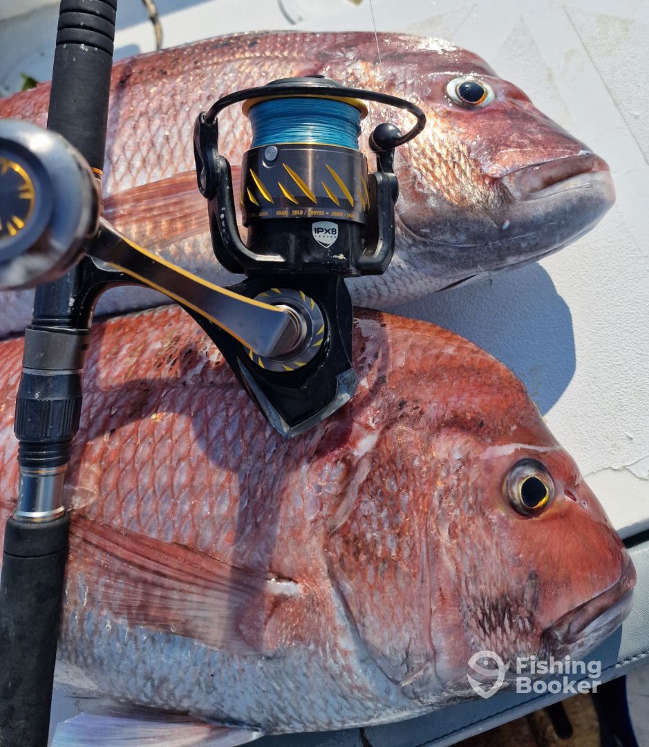 Fishing charter catch